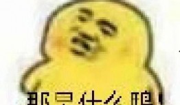 吃瓜表情包,揭秘网络时代的幽默密码